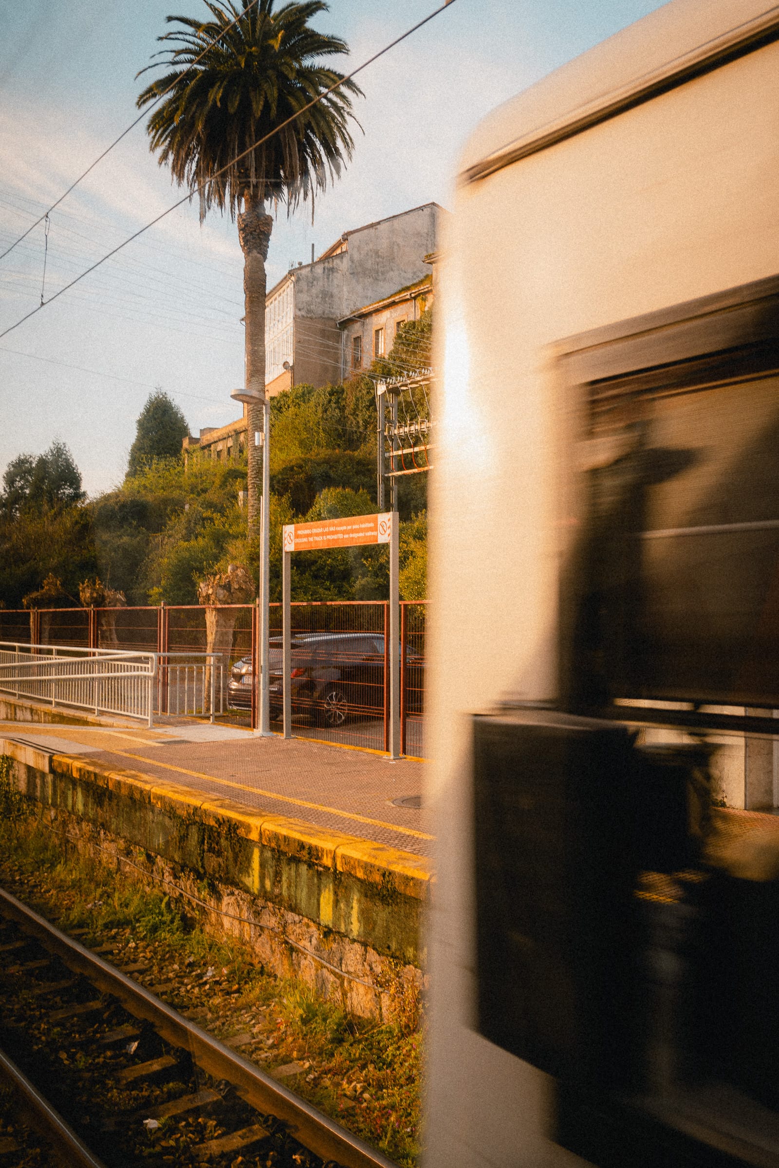 Triebwagen der Feve vor einem Bahnsteig mit Palme