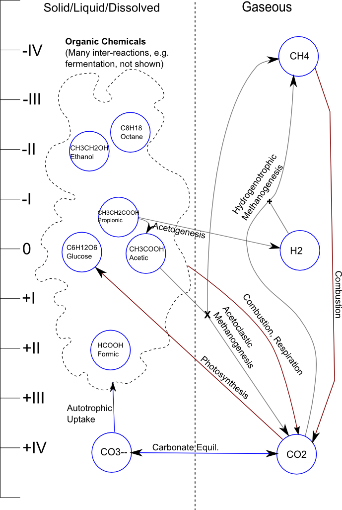 Carbon cycle infographic