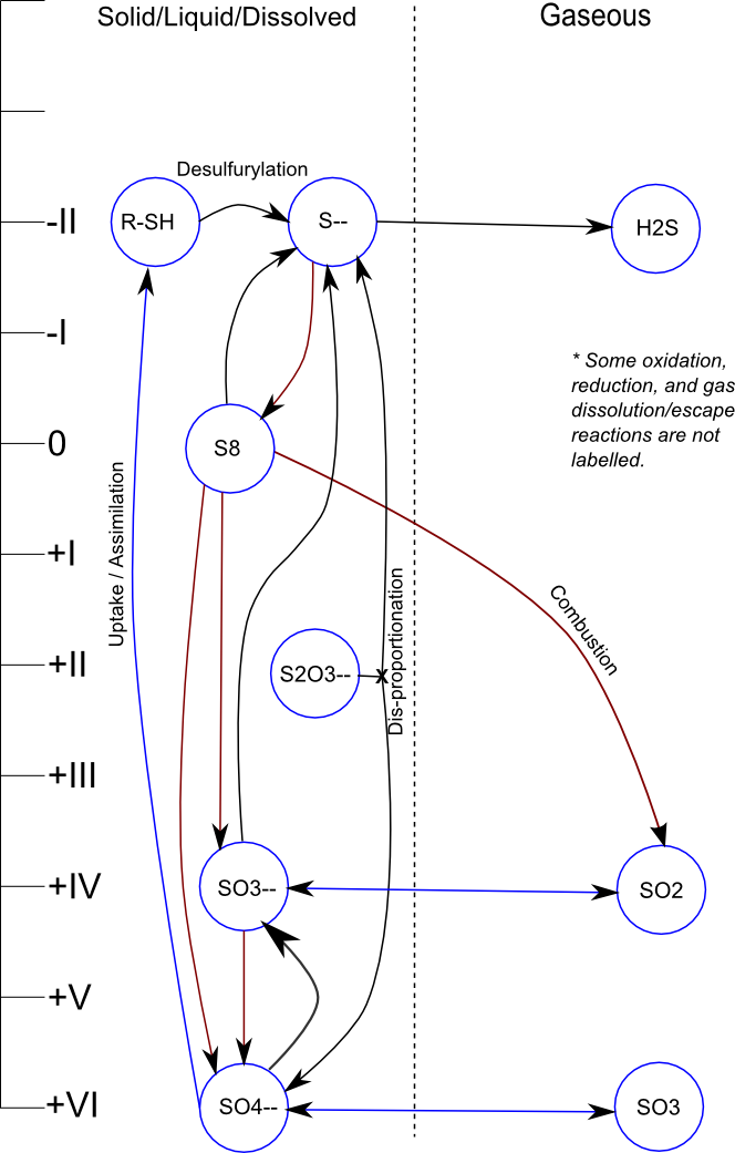 Sulfur cycle infographic