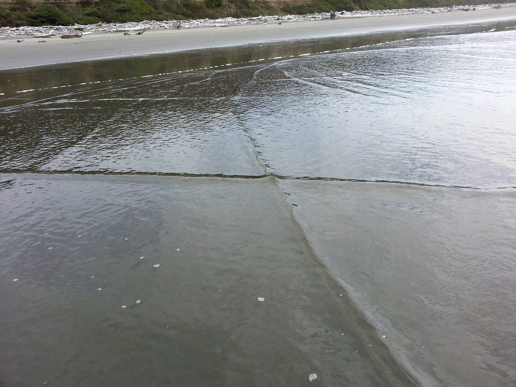 Wave pattern at Olympic Peninsula coast