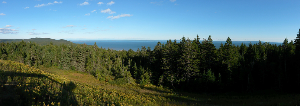 Looking out over the Bay