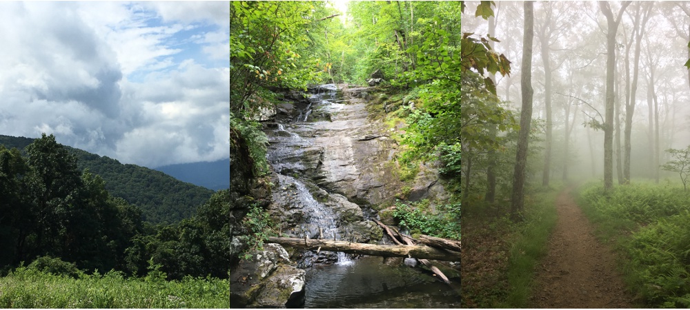 Visiting Shenandoah National Park