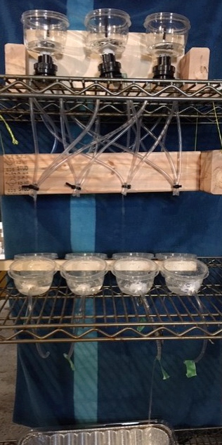 hydraulic computer in action