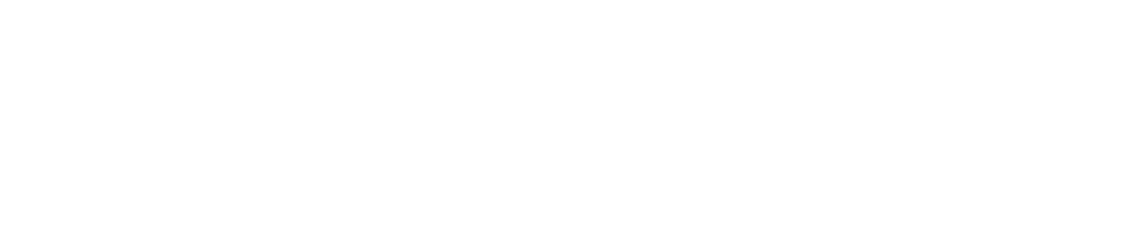 The Playmaker
