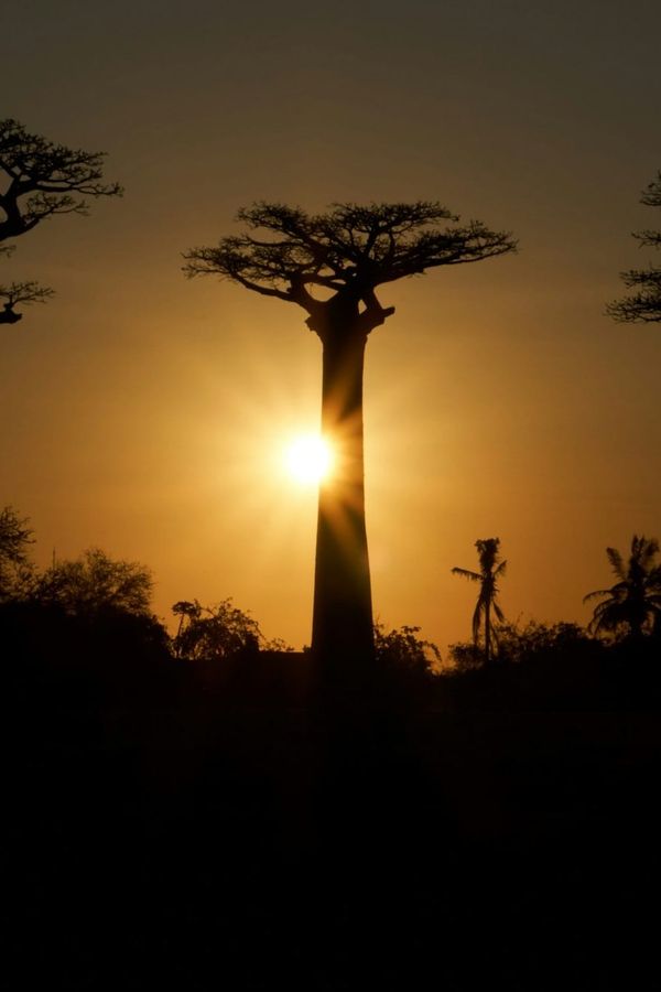 10 Minute Guided Meditation for Morning Intentions & Breath with ELEVATE