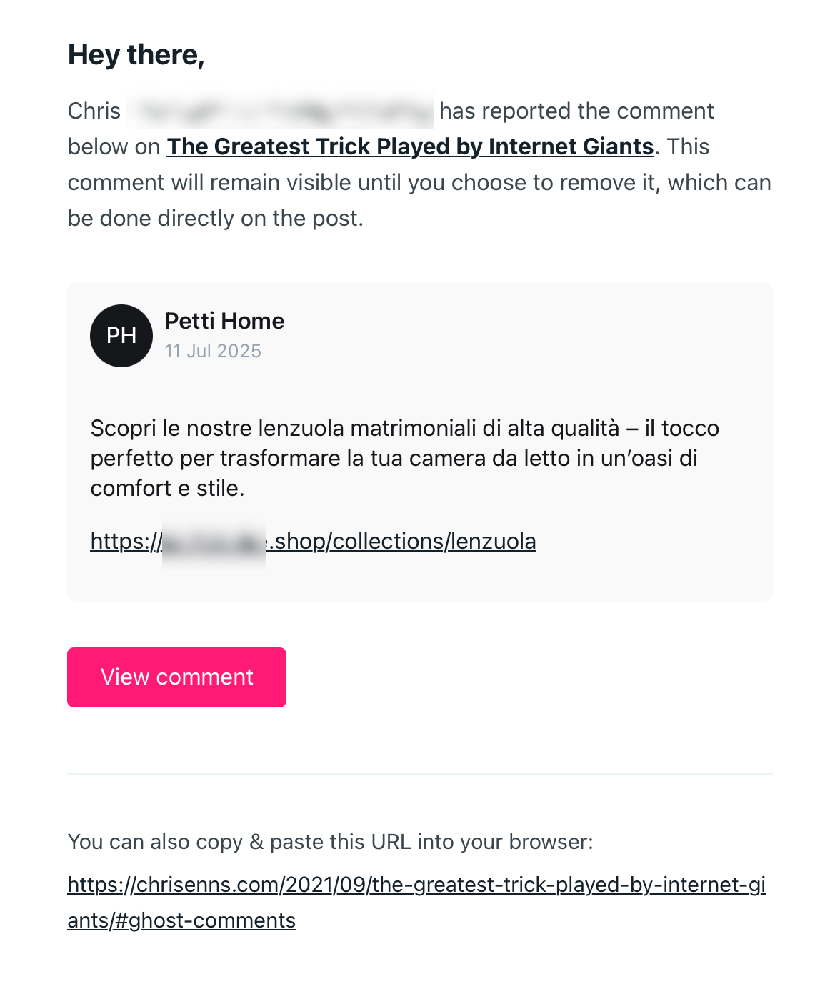Screenshot detailing a comment being reported on my blog, with text implying I could click a link and remove it.