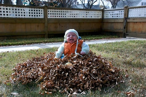 Damien in the Leaves