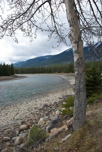 View Out Our Front Door