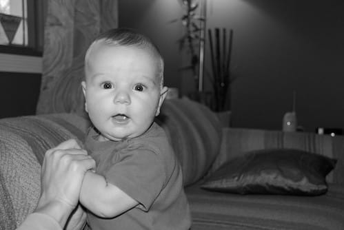 Damien Playing With Sue