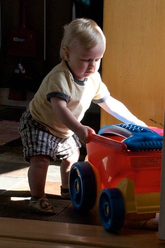 Walking With His Wheel Barrow