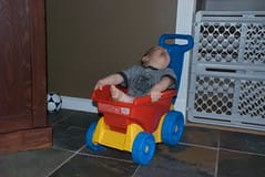 Enjoying the Wheel Barrow Too Much