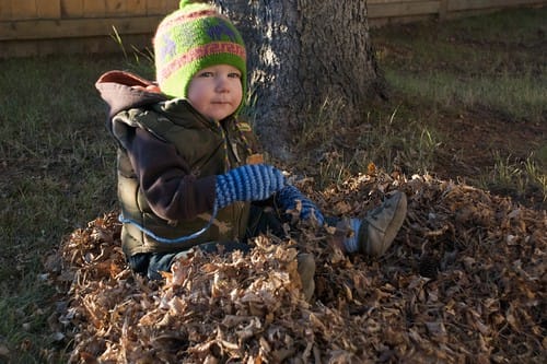 Hanging Out in the Leaves