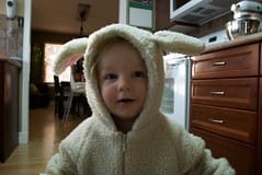 Looking for his shepherd