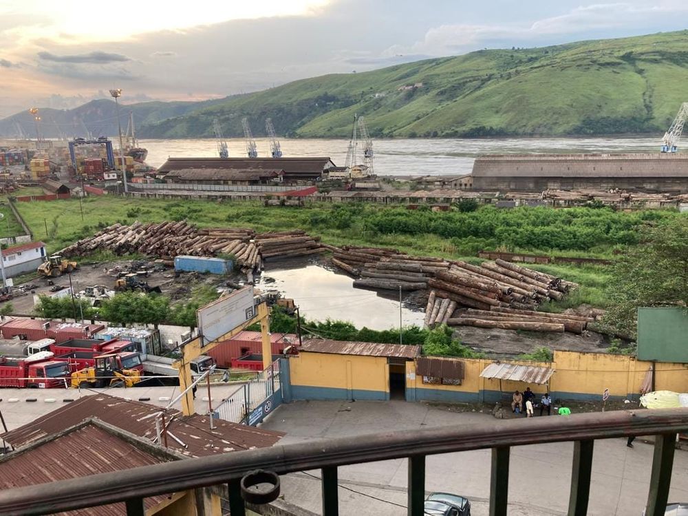 Les Yeux de Matadi: The DRC Export Reality & the Invisible Opportunity for Superfoods post feature image