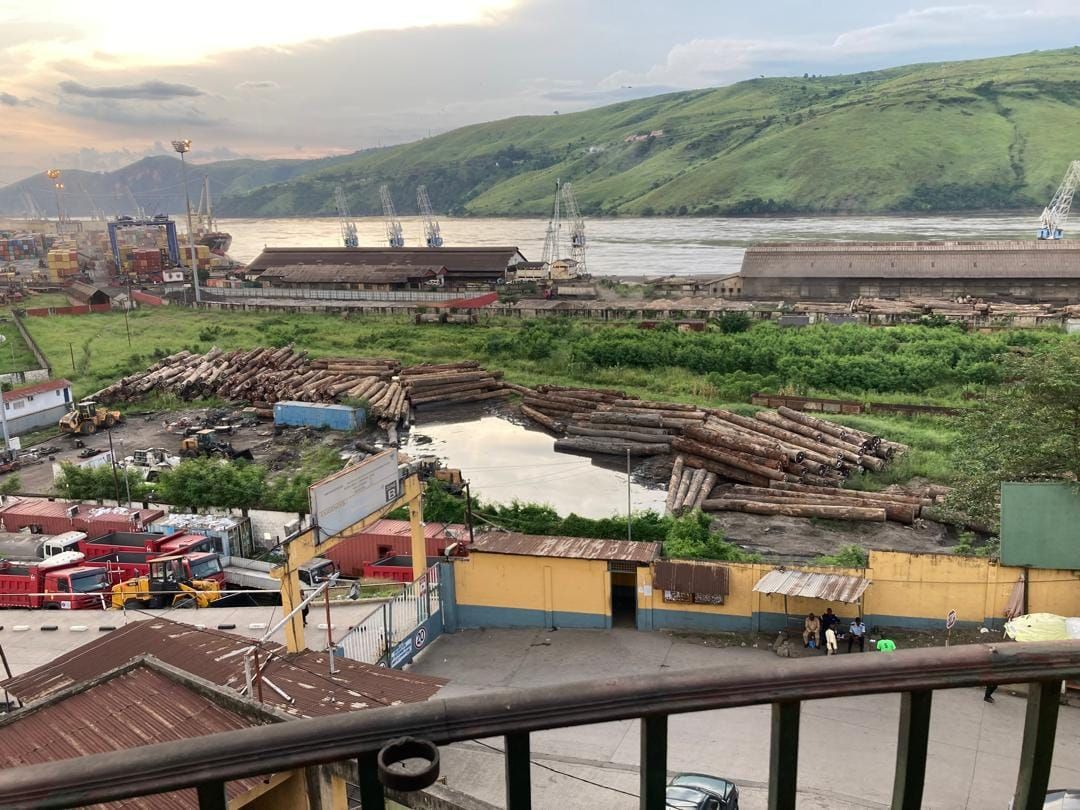 Les Yeux de Matadi: The DRC Export Reality & the Invisible Opportunity for Superfoods post image