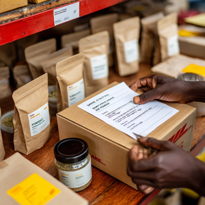 The Sample That Never Arrived: What One Failed Shipment Reveals About African Trade Infrastructure post feature image