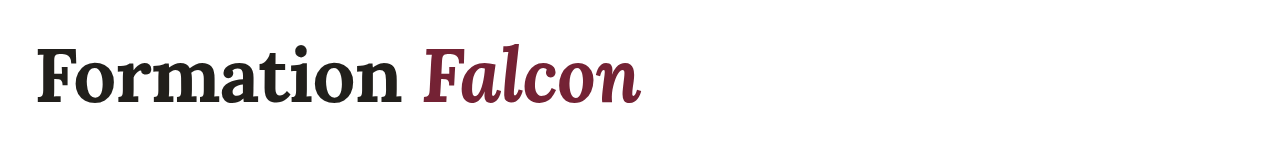 Formation Falcon