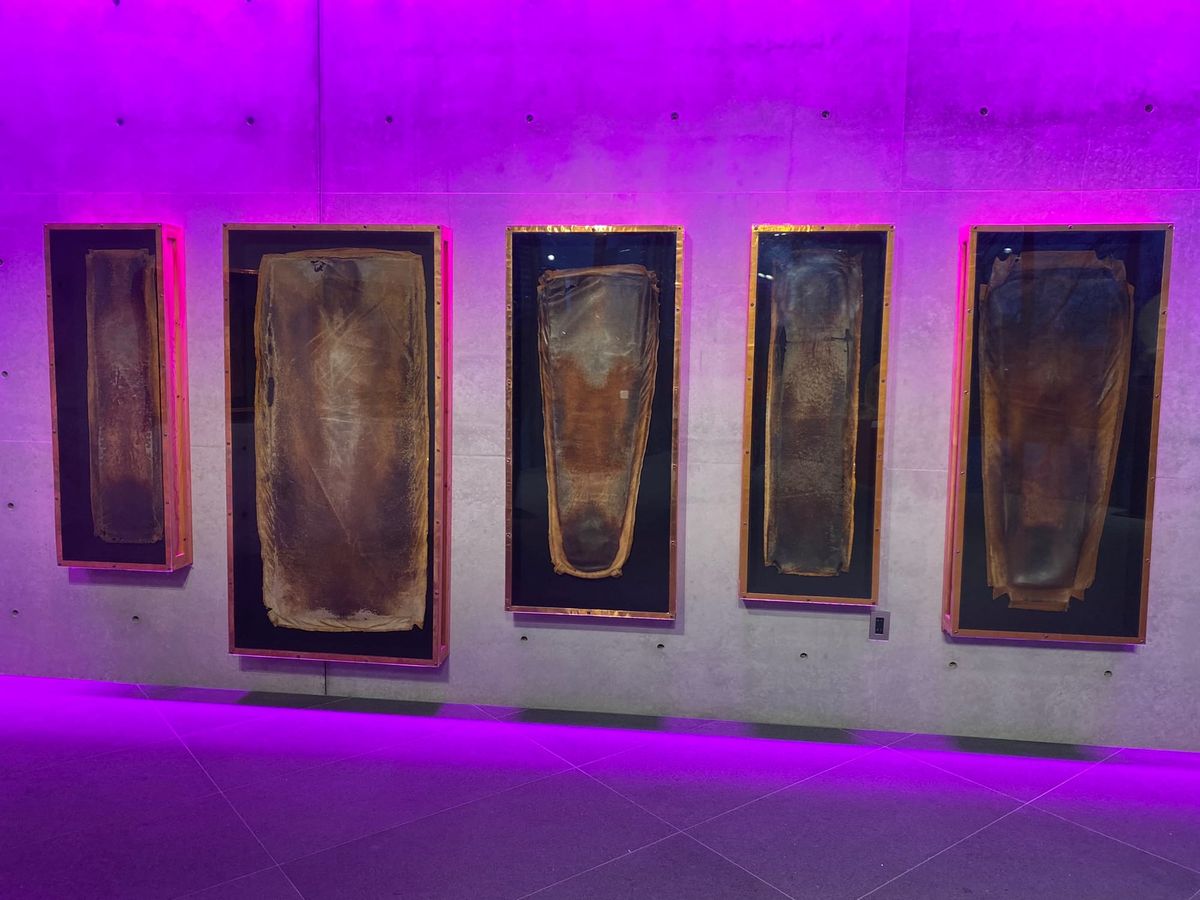 A series of pieces of leather, with faint but clear outlines of human bodies imprinted upon them.
