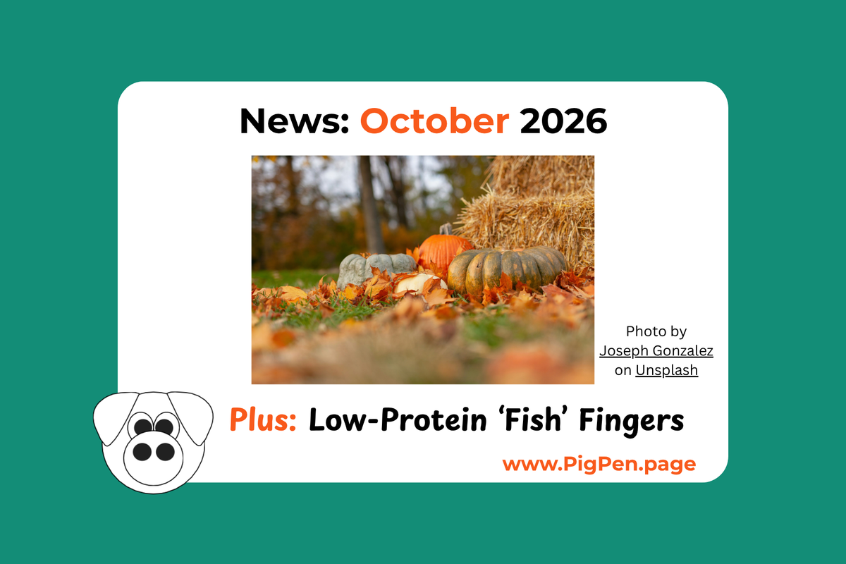 October 2026