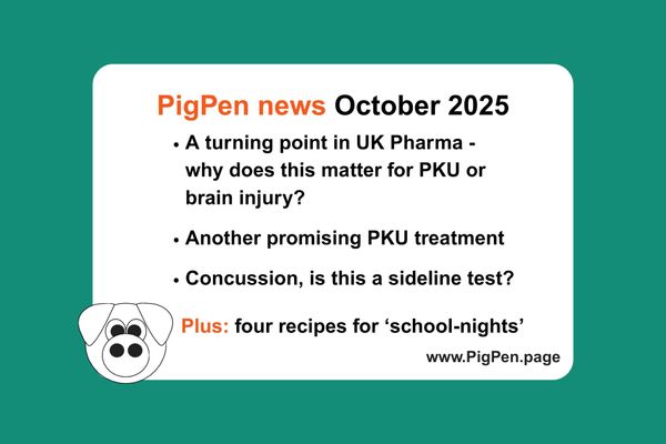 Graphic with bullet points: A turning point in UK Pharma - why does this matter for PKU or brain injury?, Another promising PKU treatment, Concussion, is this a sideline test?