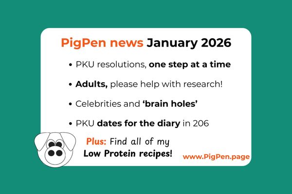 Bullet points in orange and black on a white window in a teal background. Small cartoon Pig face logo, and text reading PigPen News January 2026