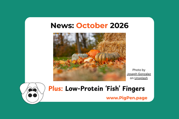 October 2026