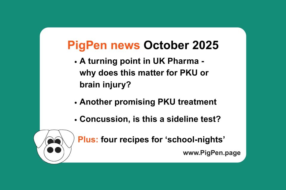Graphic with bullet points: A turning point in UK Pharma - why does this matter for PKU or brain injury?, Another promising PKU treatment, Concussion, is this a sideline test?