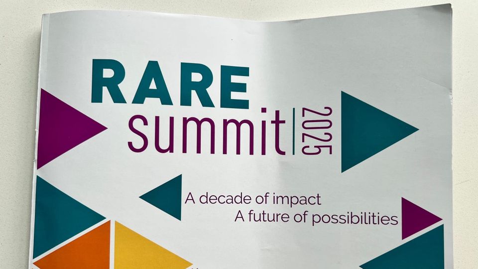 close up photo of the top of an a4 page with colourful triangle graphics on a white space. text reads "Rare Summit 2025. A decade of impact. A future of possibilities