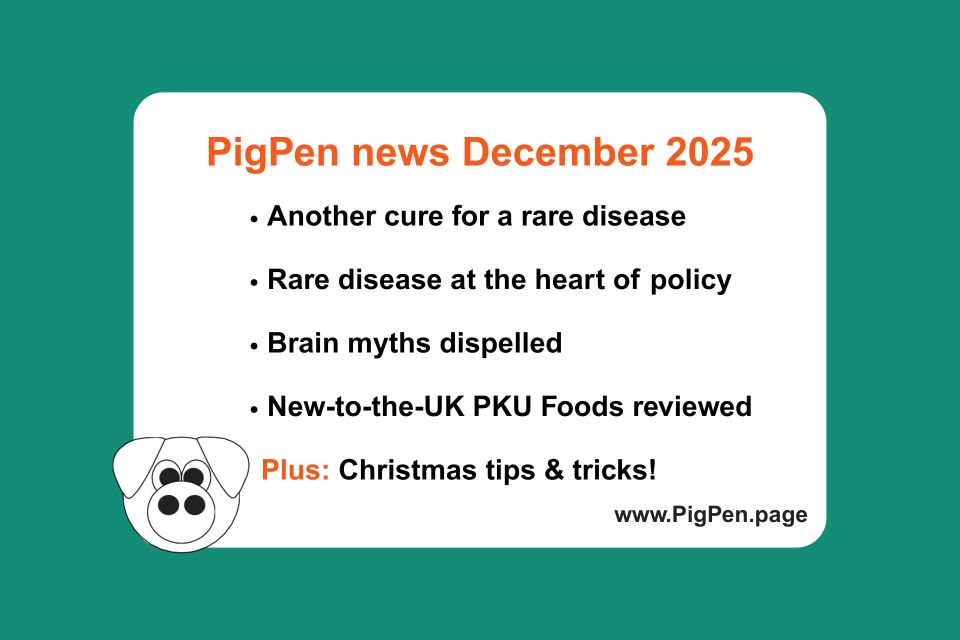 Graphic titled “PigPen news December 2025” listing topics: rare disease cure, policy, brain myths, new UK PKU foods, and Christmas tips, with PigPen logo and website link.