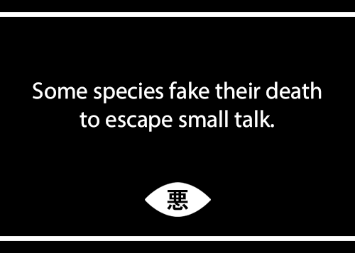 Extra Evil - Observer Effect