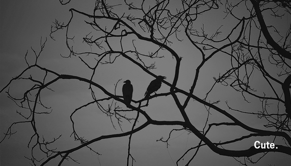 Exclusive Evil - More Sci-Fi Warnings to Ignore