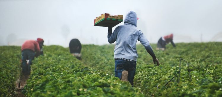 How can we think about food at a time like this?