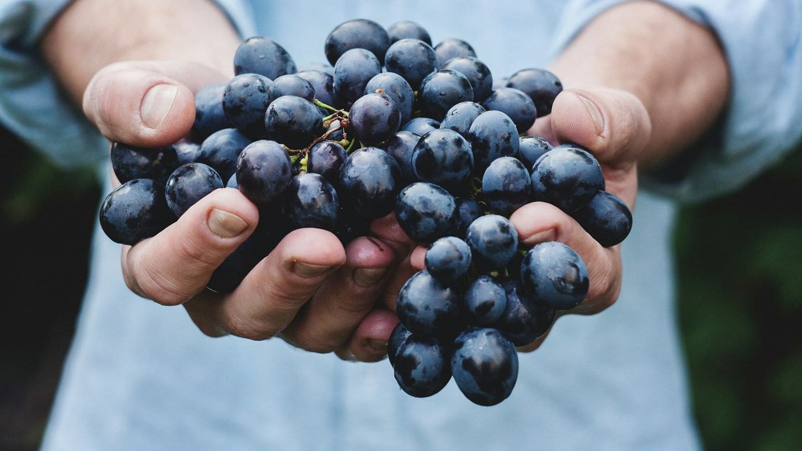 Colheitas e mudança climática