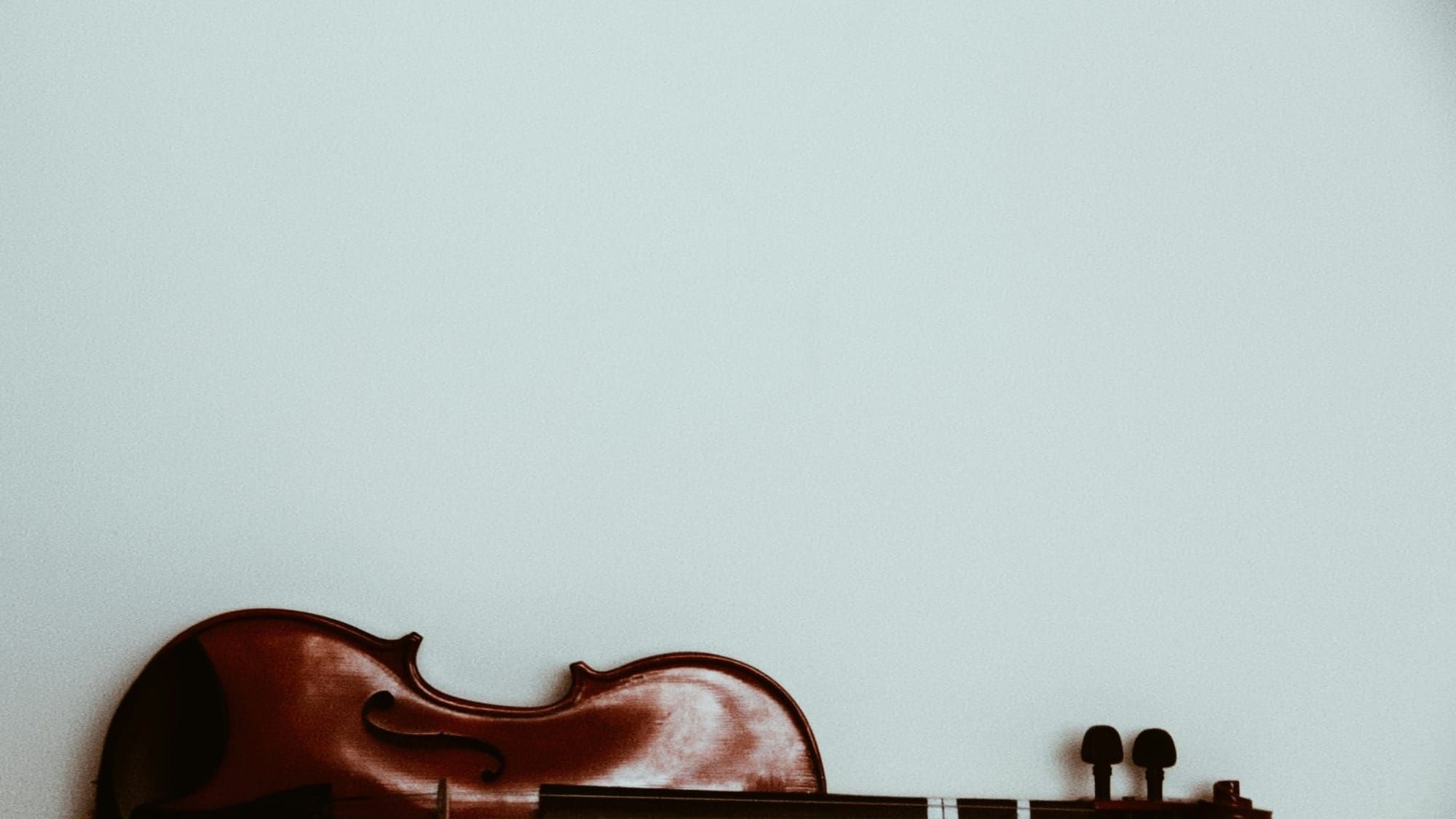 05 Gráficos de violino