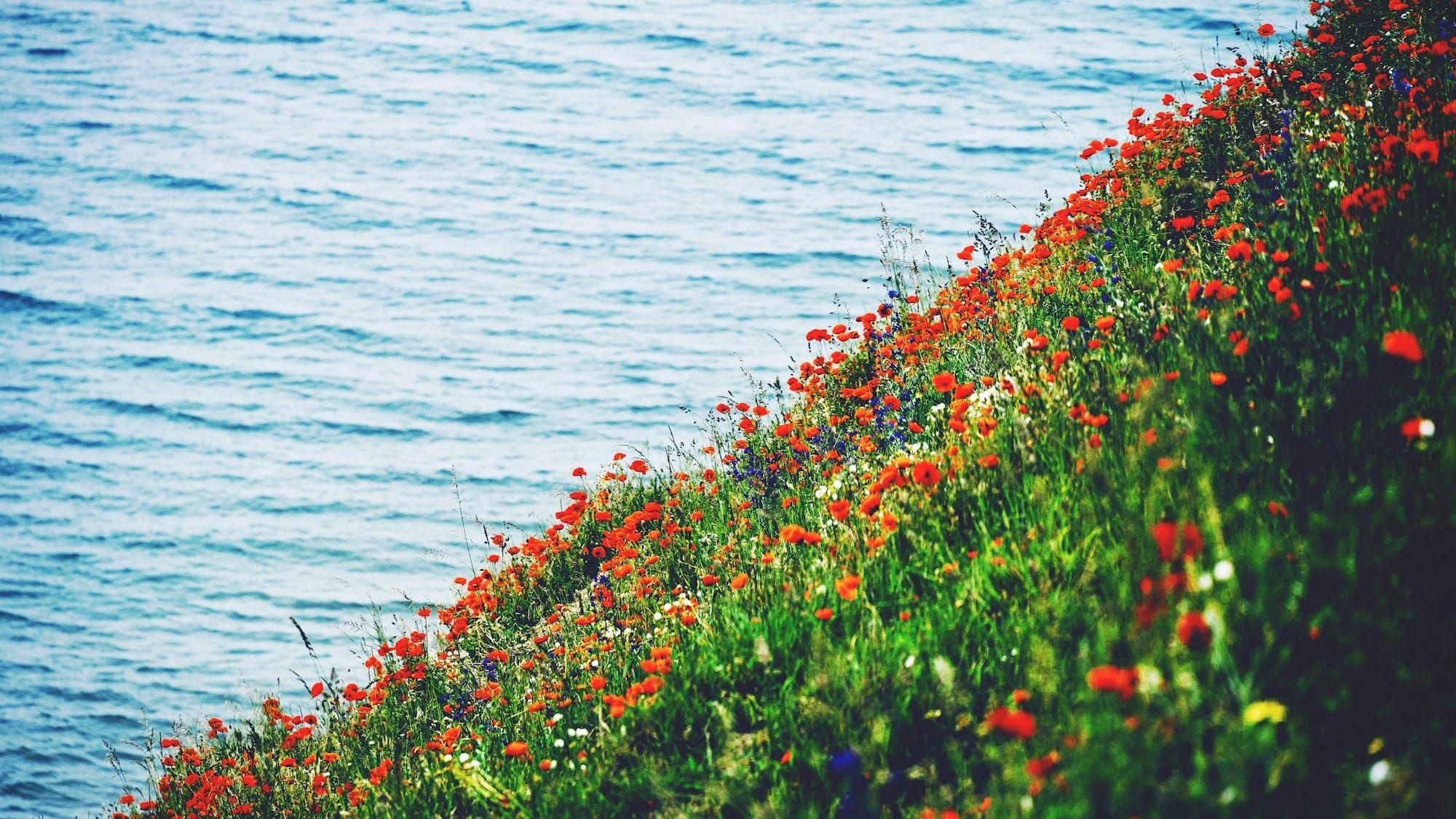 05 Gráficos de inclinação