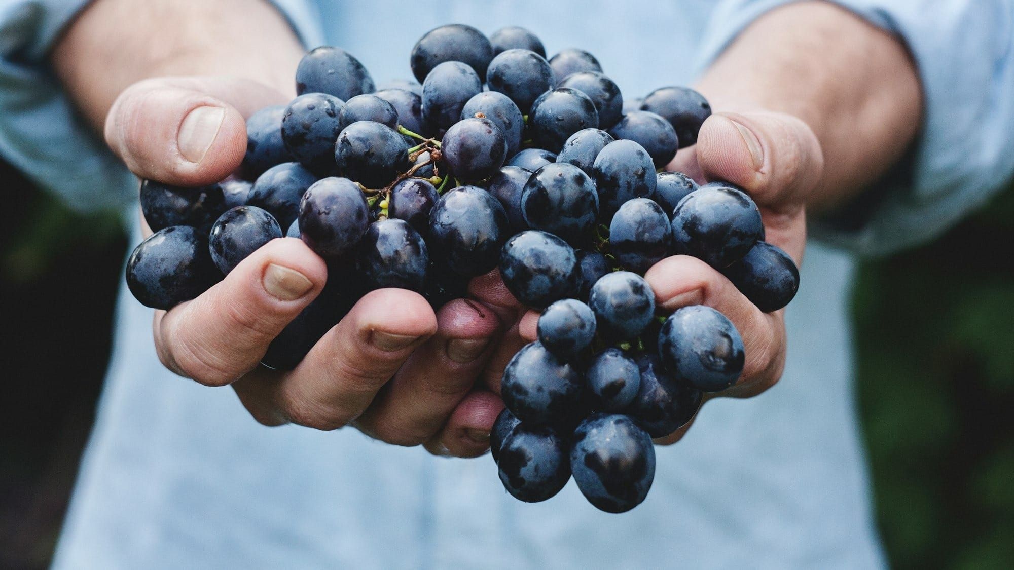 Colheitas e mudança climática