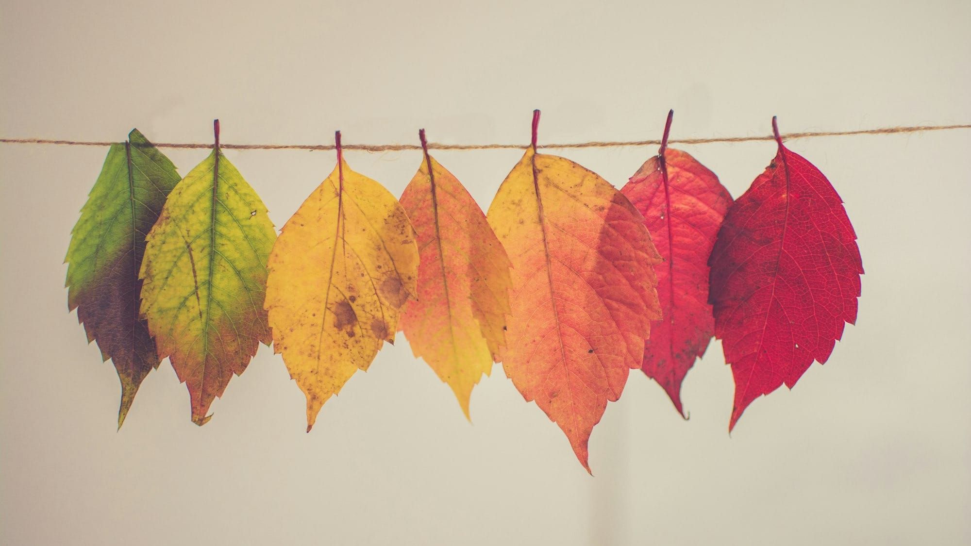 Visualizing change with Stephen Few