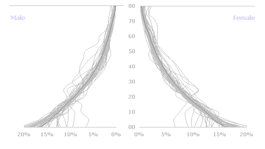 Animation and demographic information visualization