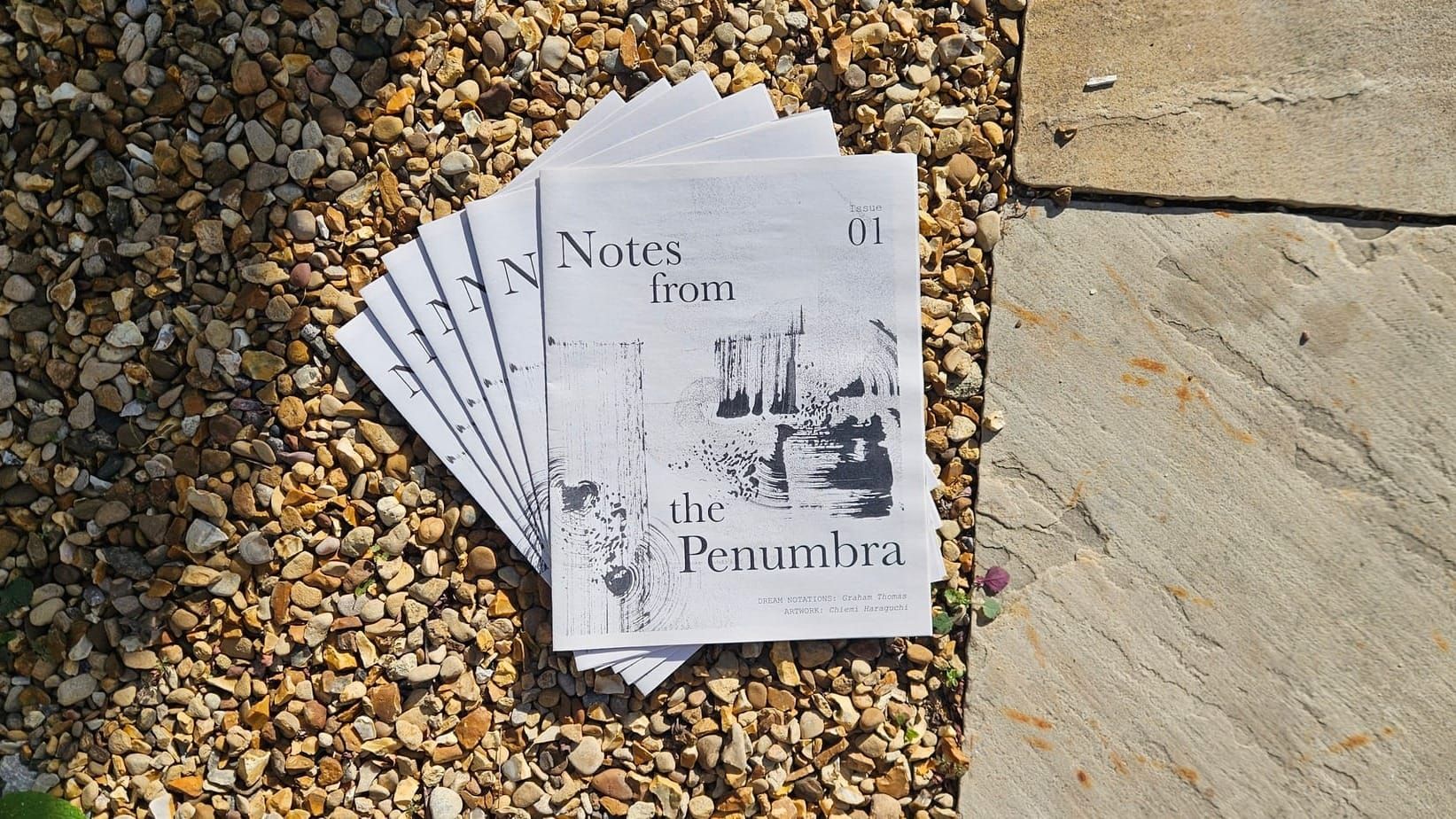 Notes from the Penumbra