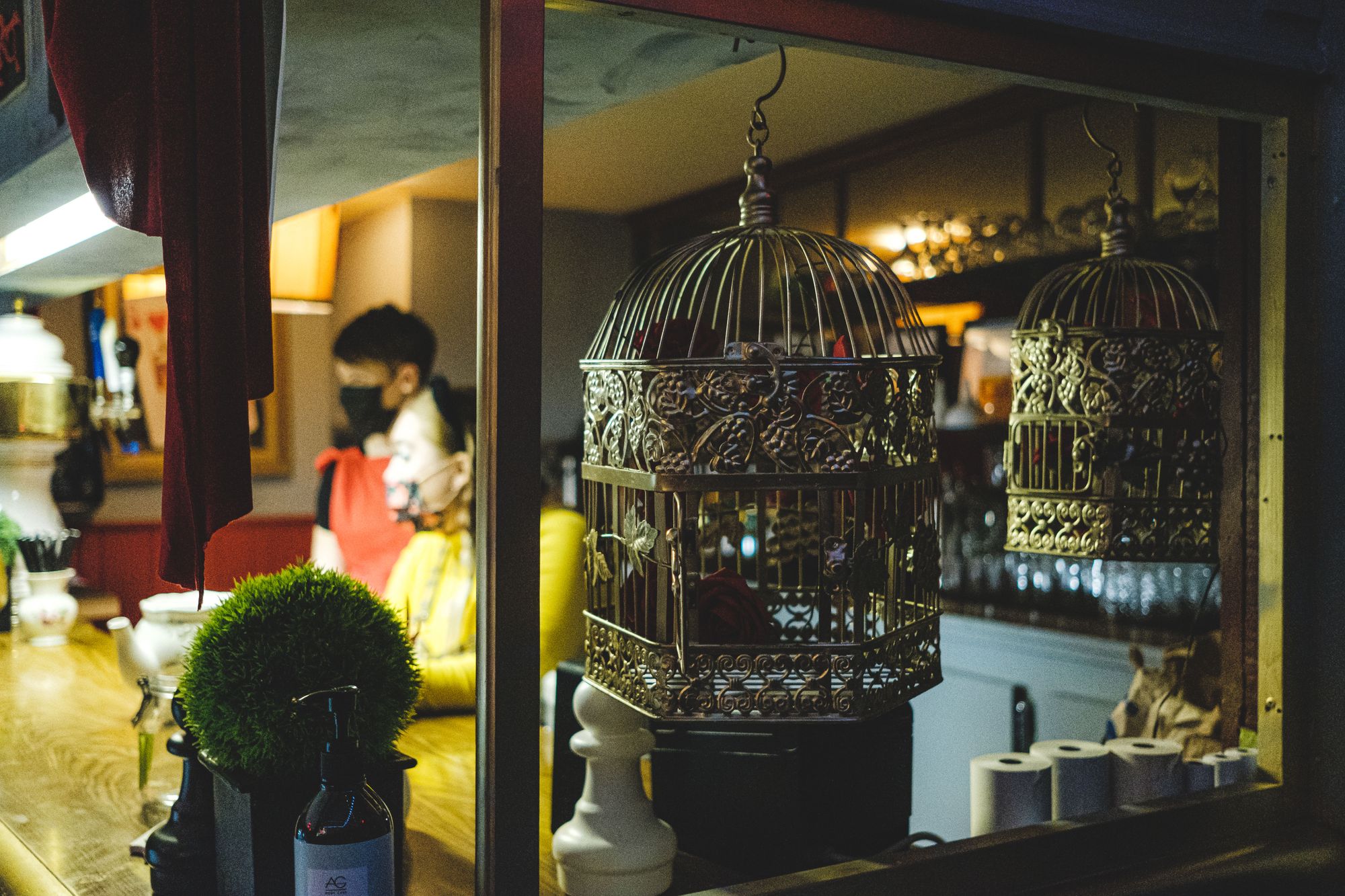 "Cage Bird" Bird Cages