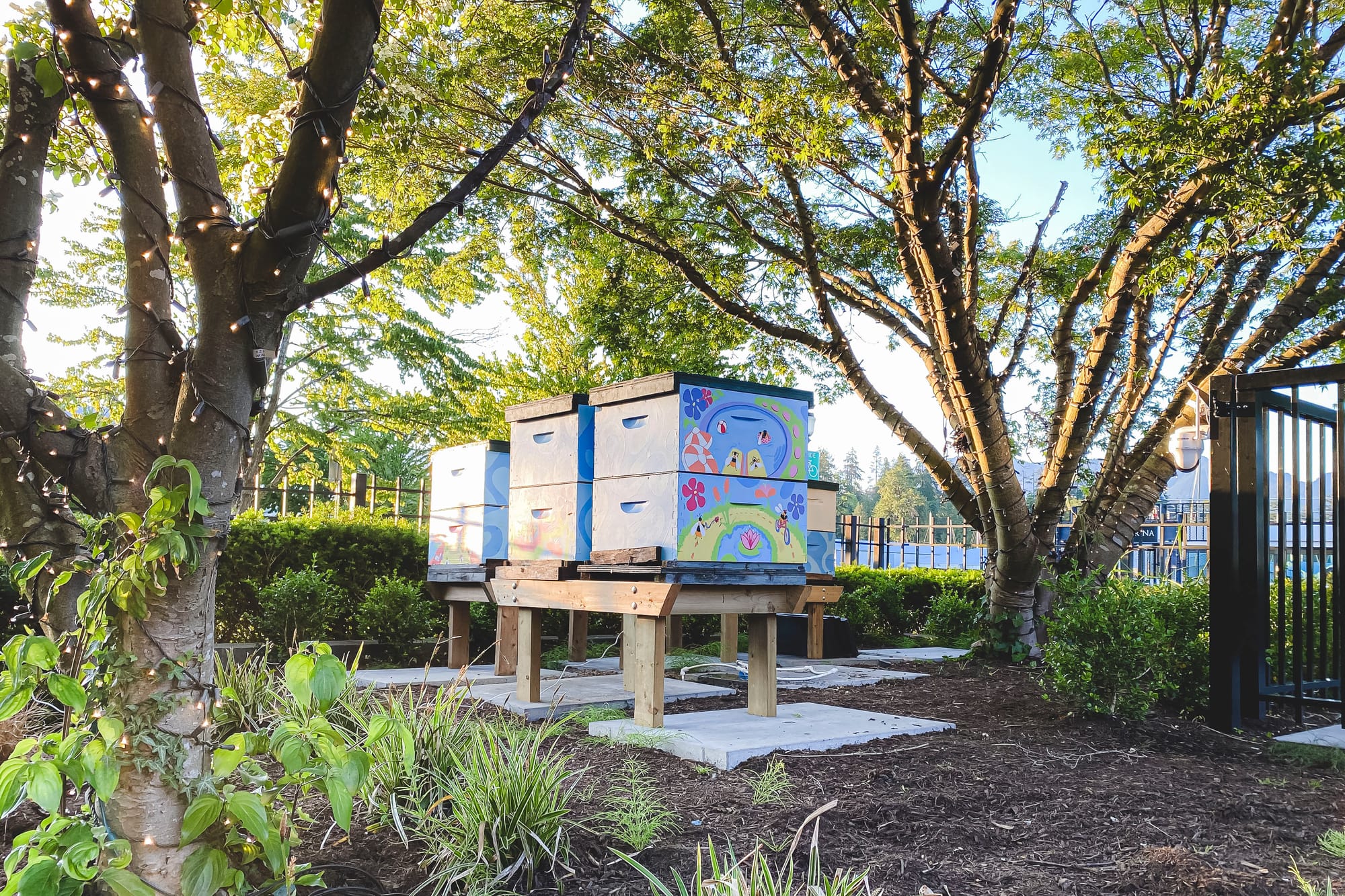 Apiary at H2 Kitchen + Bar in Vancouver