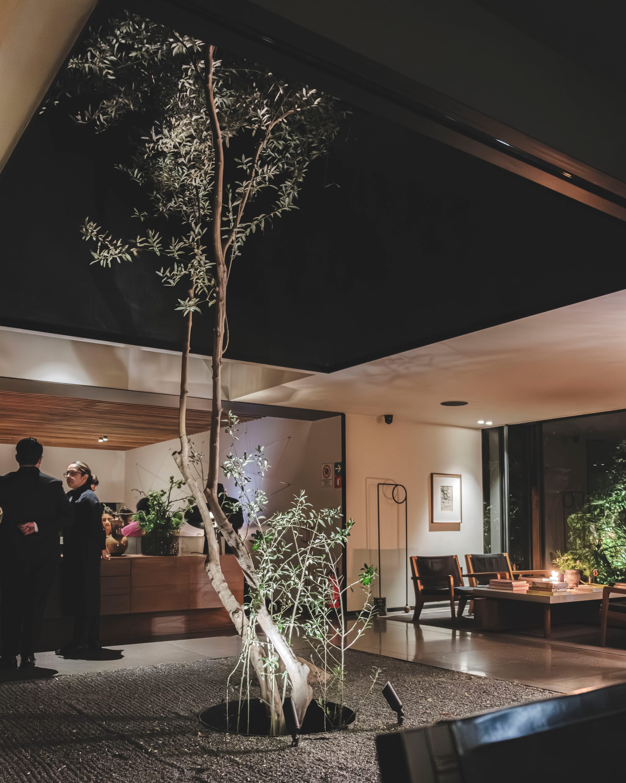 Pujol –&nbsp;Zen Garden