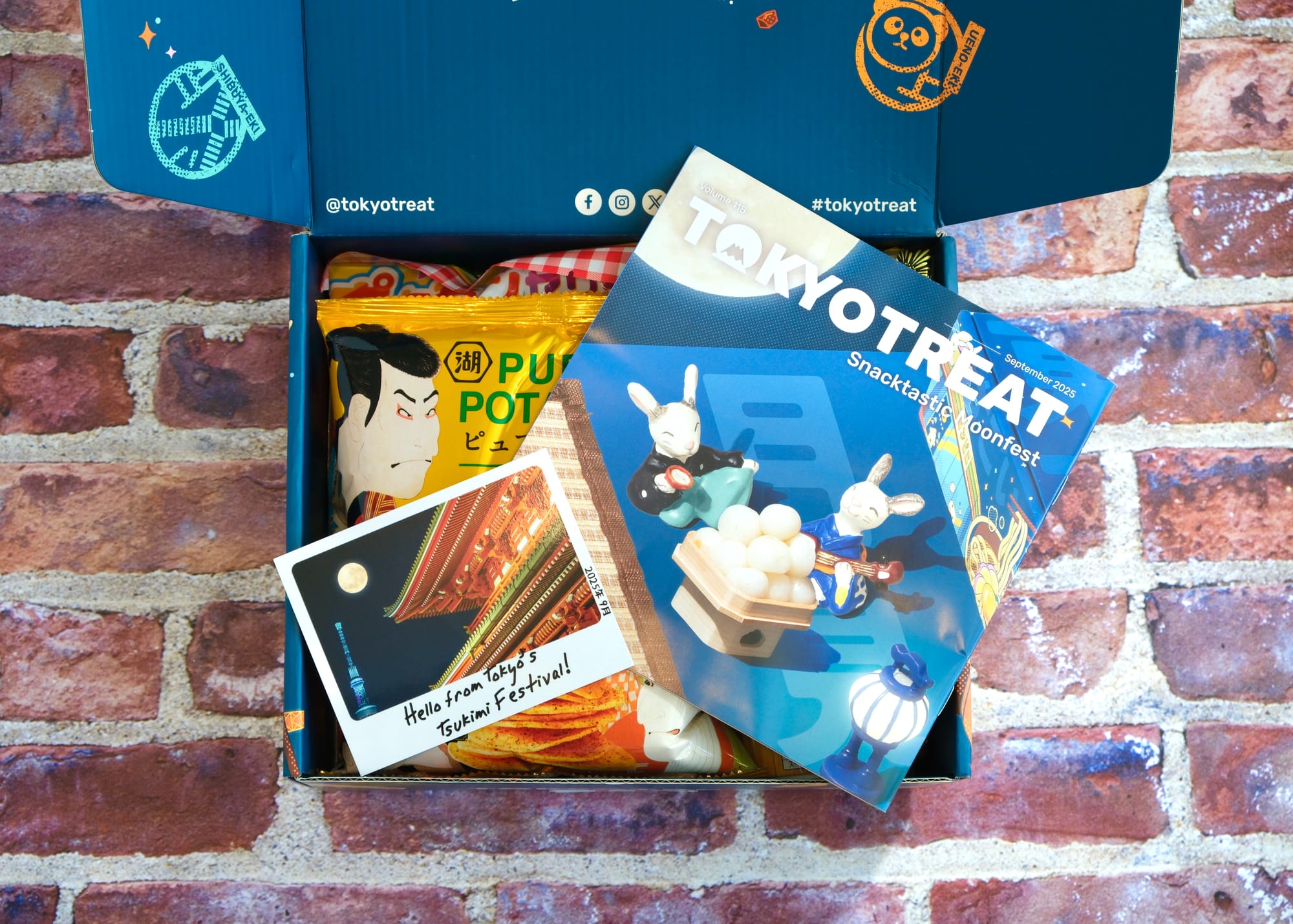 TokyoTreat Subscription Box - Opening the Box