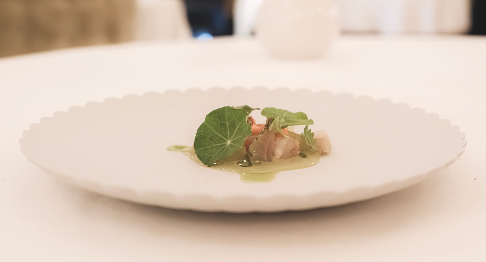 Le Monument in Porto: Violet prawn, green curry