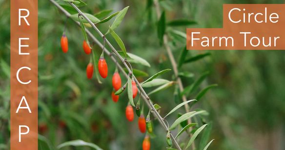 Touring #JustUpTheRoad - A 2-Day Circle Farm Tour Expedition [OVERVIEW]