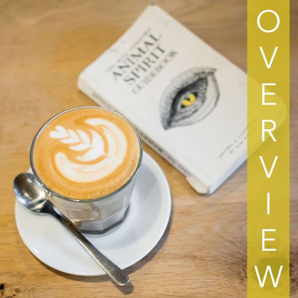 TurF – Sweat, Shop, and Savour in One Kitsilano Cafe in Vancouver [OVERVIEW]