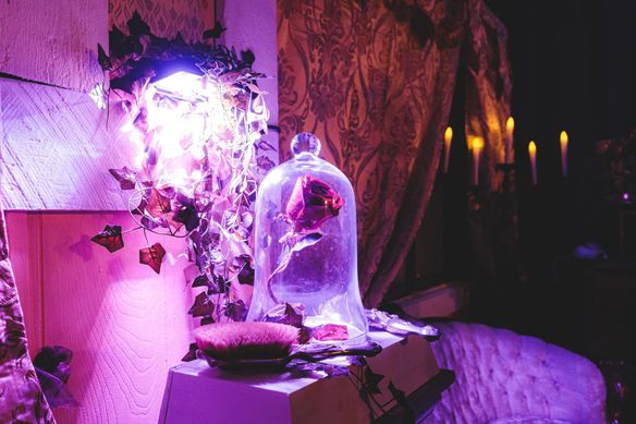 Beauty and the Beast: Cocktail Experience in Vancouver [EVENT]