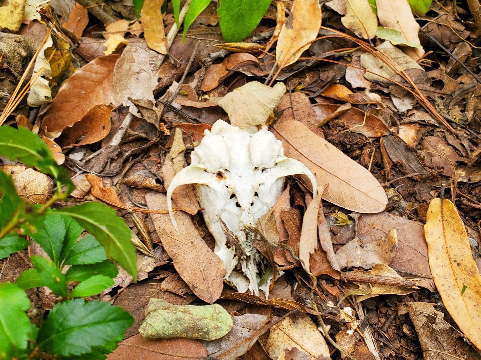 The Good, the Bad and the Ugly