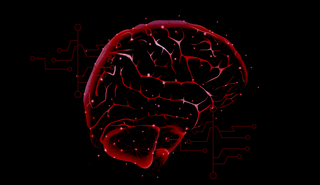 Hardwired Attraction