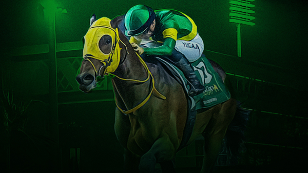 Saudi Cup 2026 —where tradition, luxury, and speed collide.